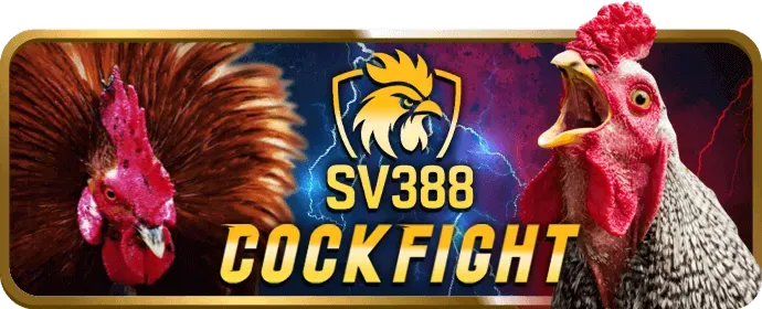 Ưu đãi vòng quay miễn phí 000hello888